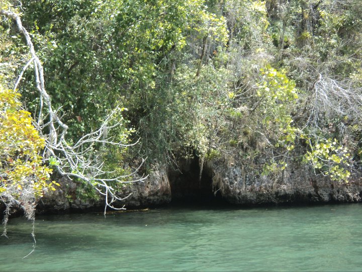 slideshow